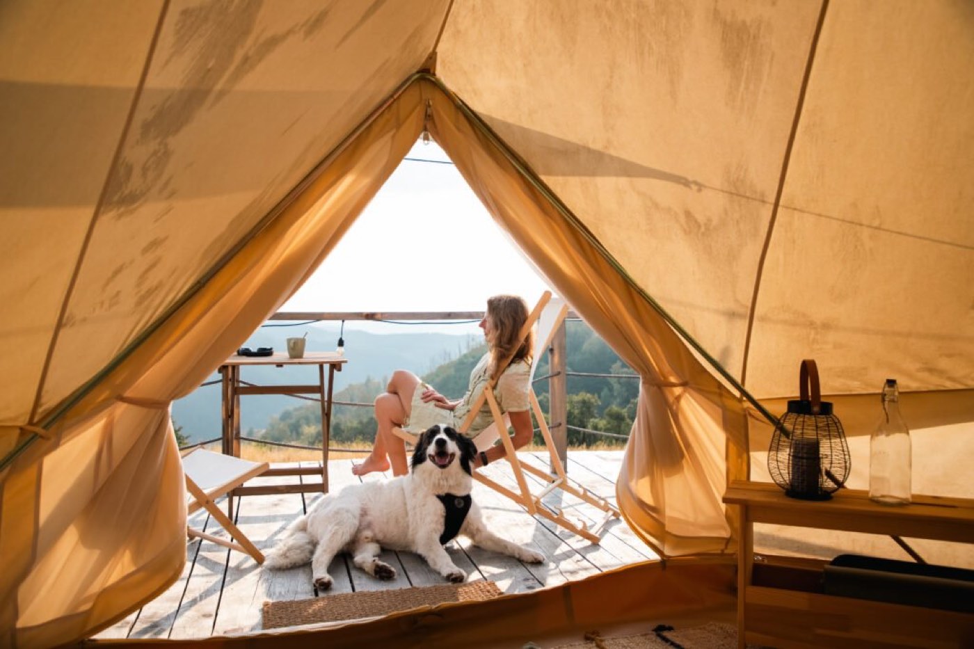 Perro descansando en un glamping