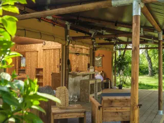 Luxury Suite: covered terrace with plants