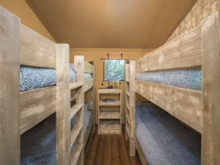 Luxury Safari Lodge: room with wooden bunk beds
