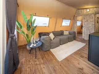 Nature Lodge: living area with a sofa, a rug and a plant