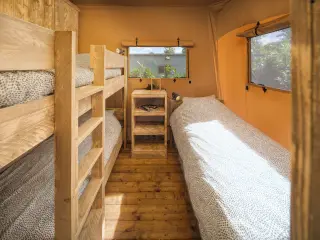 Luxury Suite: room with bunk beds and a single bed