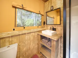 Luxury Suite: the bathroom's washbasin, mirror and toilet