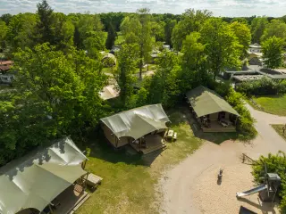 Wood Lodge: aerial view of three tents in the forest