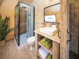 Nature Lodge: bathroom with a glass-enclosed shower, a washbasin and a toilet