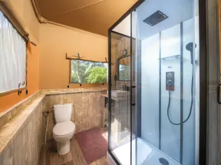Luxury Suite: bathroom with a toilet and a glass-enclosed shower