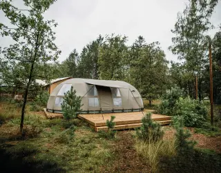 Panorama: curved-roof glamping tent on a deck, among pines