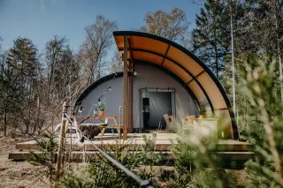 Arcade: front with a wooden deck among pines