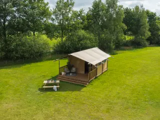 Wood Lodge Midi: the tent in a meadow surrounded by trees
