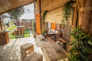Glamping Lodge 35: terrace with plants and wooden furniture